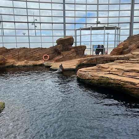 Appartement Les Pieds Dans L'eau, Frond De *